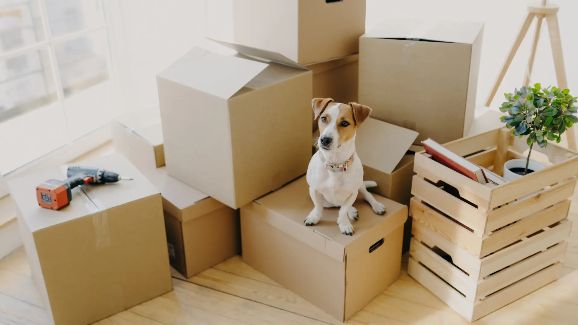 Moving Services