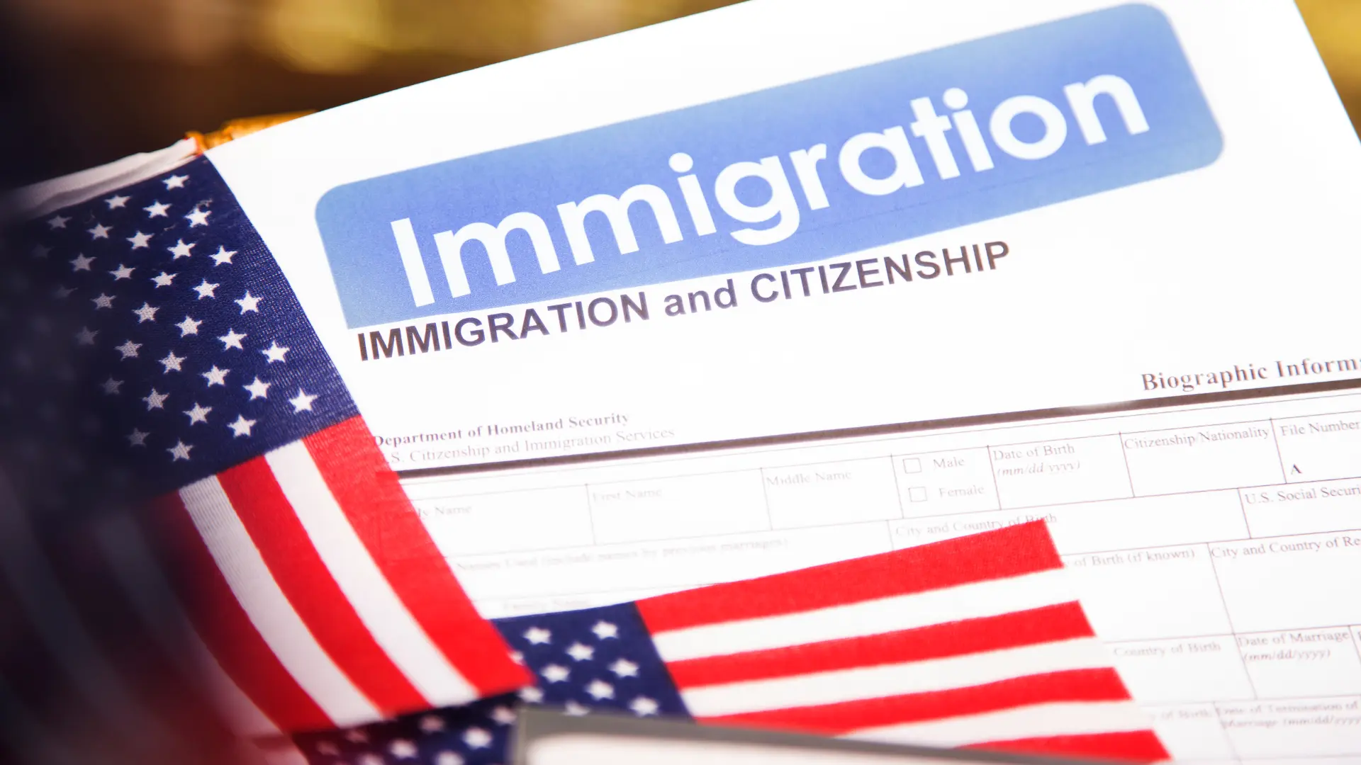 Immigration Consultancy